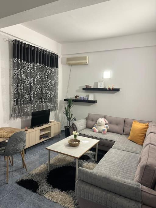 Apartment Near The Centre Of טיראנה מראה חיצוני תמונה